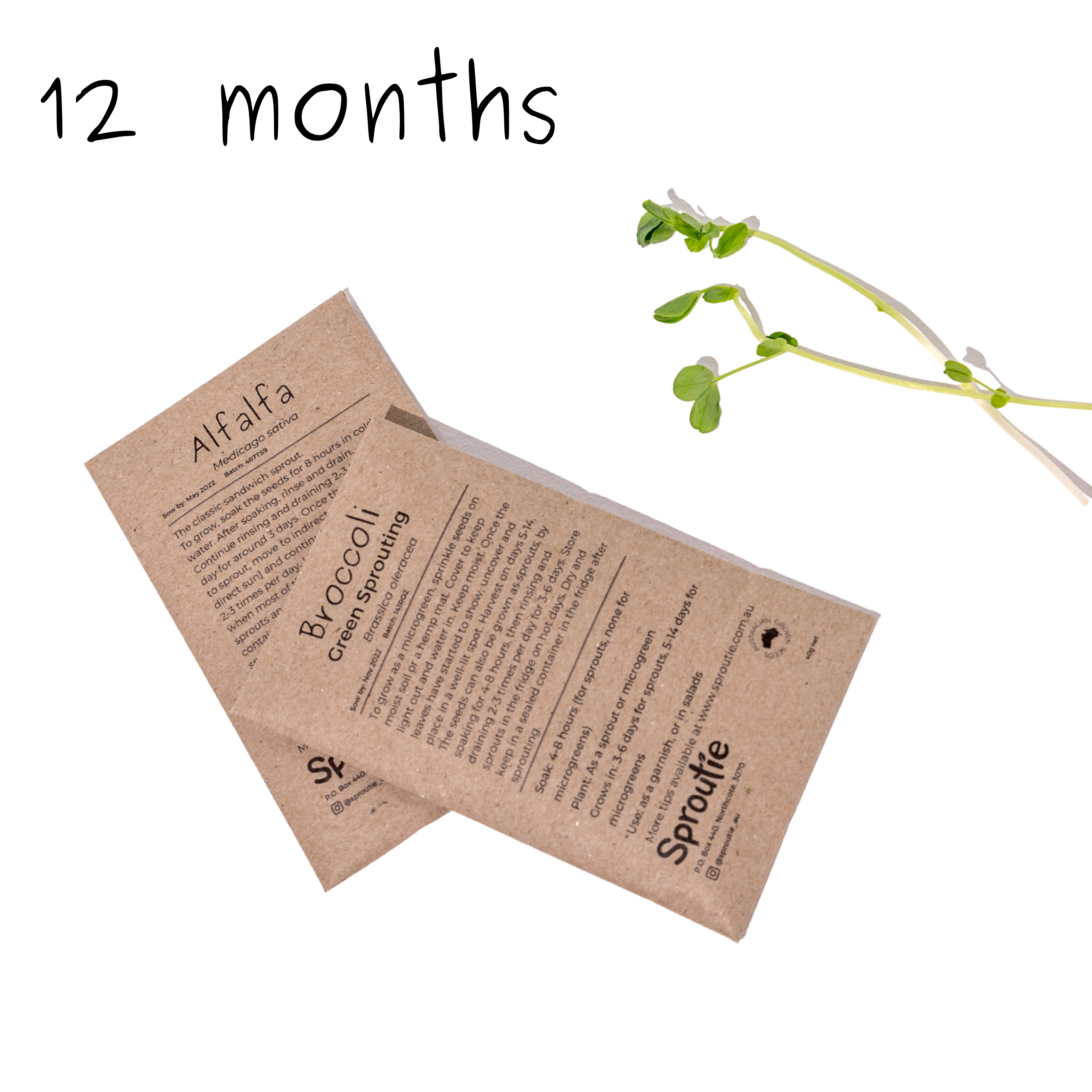 Seed Subscription (12 months prepaid)